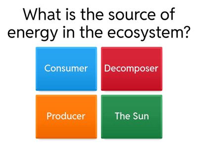 [12.4] Energy and nutrient transfer in food chains