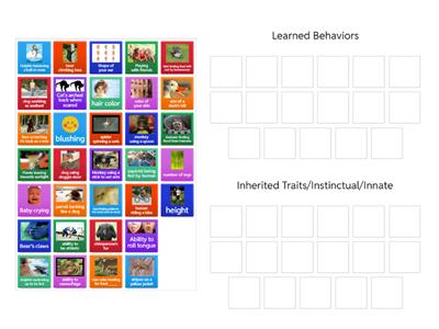 Instinctual /Inherited Traits vs. Learned Behaviors