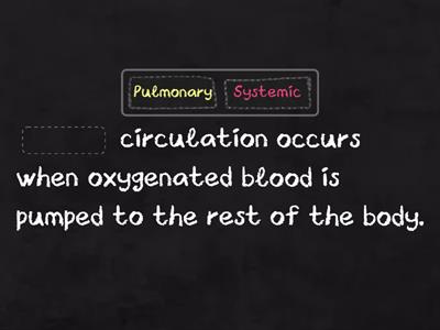 Circulatory System Quiz
