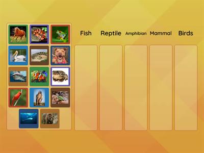 Classify Vertebrates by Type