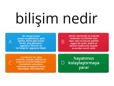 bilişim teknolojileri