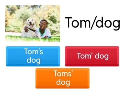 Possessive 'S | A1 Grammar