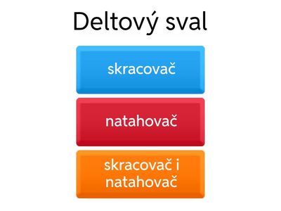 natahivac x skracovac 