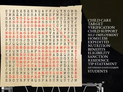 CT3 Word Search