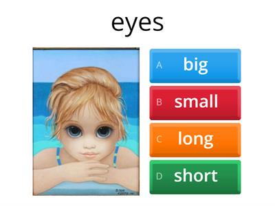big/small/long/short