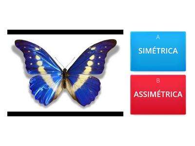 Imagens simétricas e assimétricas 3º ano Ens. Fund. I - CAU