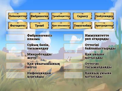 Қанның Құрамы мен Қызметі