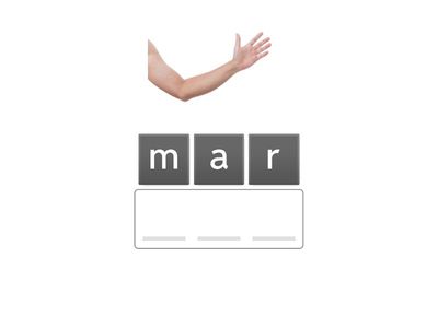 Together 1 - Body Parts 