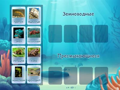 Земноводные и пресмыкающиеся