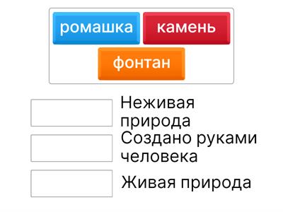 Окружающий мир 