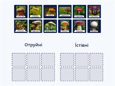 Отруйні та їстівні гриби