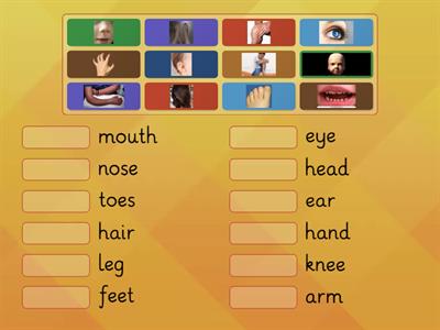 Richmond 1 Unit 5 vocabulary