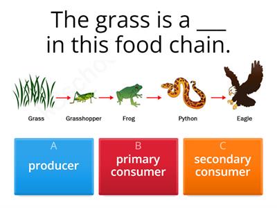 Ecology quiz