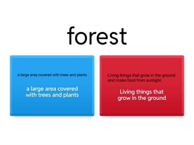 TERM 3 EXAM VOCABULARY