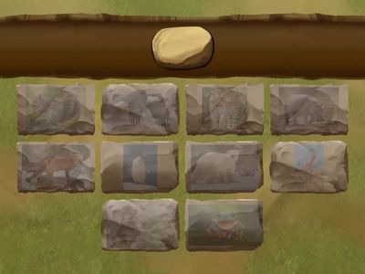 Zoo & Farm Animals 2