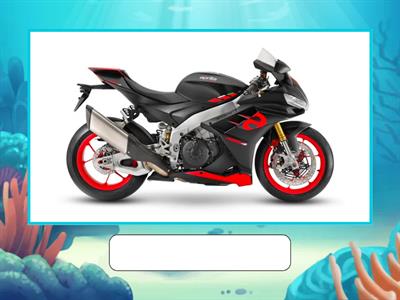 MEANS OF TRANSPORT 3