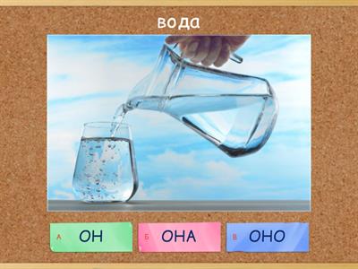 ОН, ОНА или ОНО?