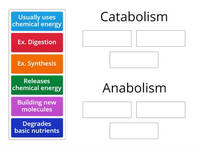 Catabolism vs. Anabolism