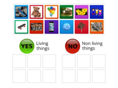 Living things & Non living things