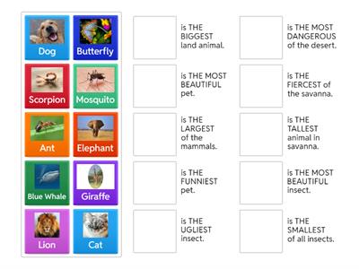 Superlative Animals!