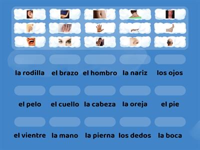 Parts of the body Spanish