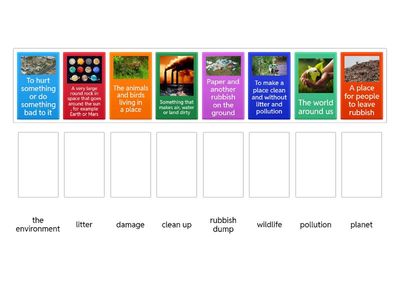 FNF 5 Unit 4 Vocabulary