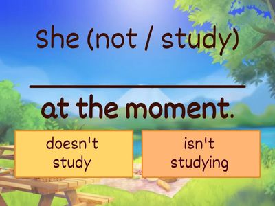 Present Simple vs Present Continuous