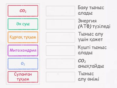 сәйкестендіру