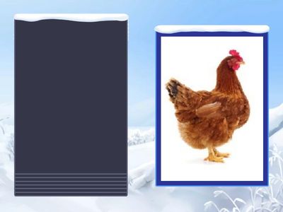 Английский 4-6 лет. Животные