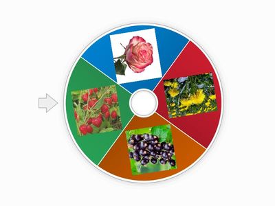 Прокрутить колесо