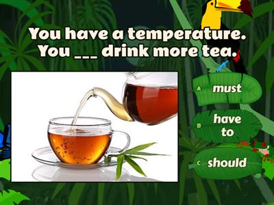 Must / Have to / should