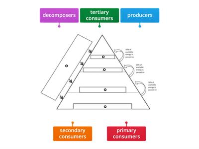 Energy Pyramid