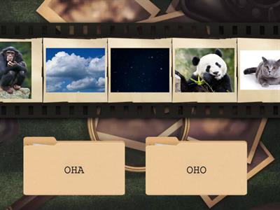 ОНА / ОНО (Привет)