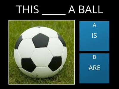 THIS THAT THESE THOSE