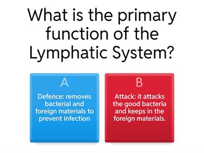 Lympatic System: Beauty Level 3