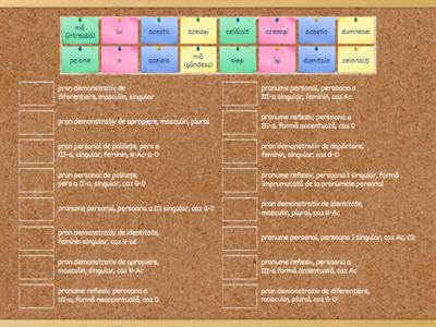 Verificare pronume: personal, de politețe, reflexiv, posesiv, demonstrativ