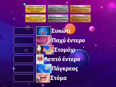 φυσικη ε δημοτικου πεπτικο συστημα 