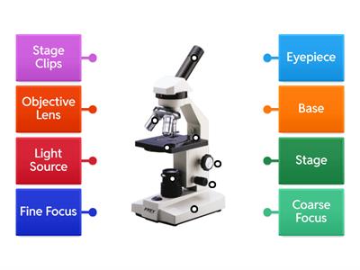 Light Microscope labelling