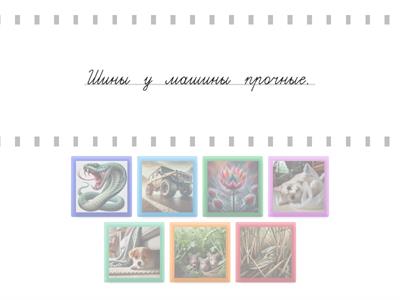 Каллиграфия Заглавные буквы "Ши"