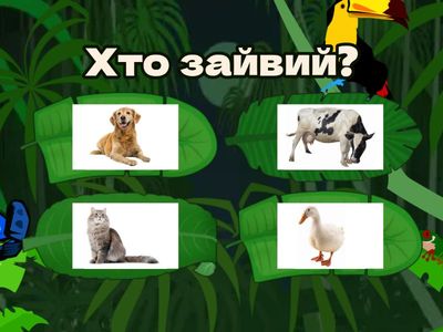 Четвертий зайвий