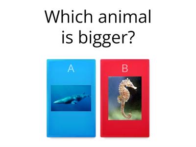 AS3 Which animal is...?