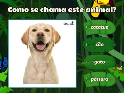 4. Como se chama este animal?