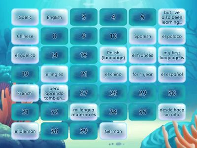 Q11 ~ LANGUAGES SPOKEN ~ MATCHING PAIRS