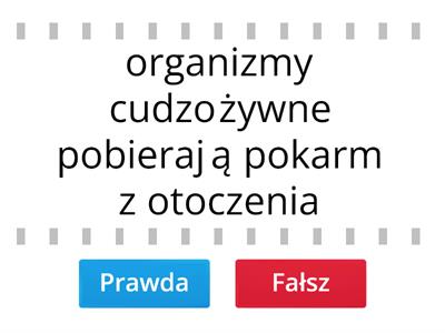 Przyroda dział.3 klasa 4