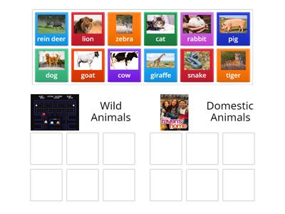  SORTING wild and domestic animals