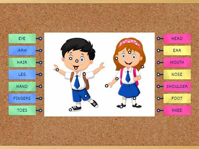 BODY PARTS