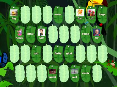 Synonym Matching Pairs