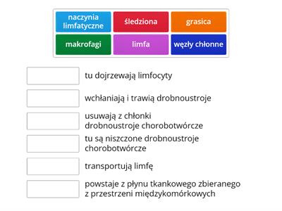 układ limfatyczny i odpornościowy