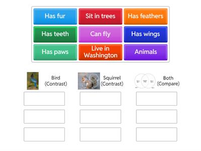 Compare and Contrast - Bird and Squirrel