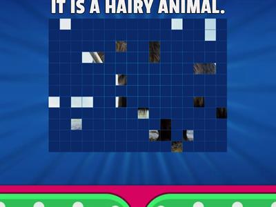 3RD - ANIMALS - ENGLISH CODE - UNIT 2